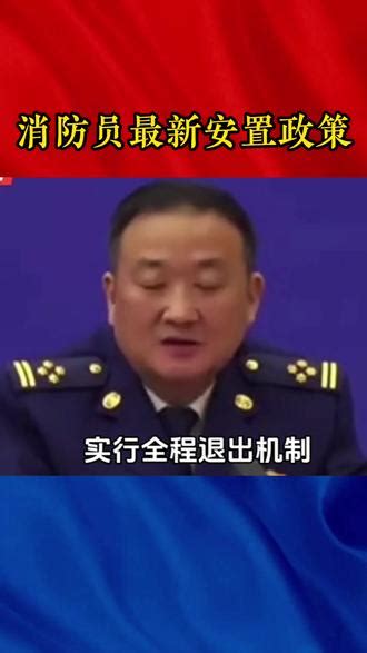 安置 意思|安置是什么意思